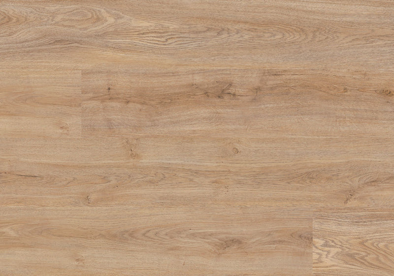 Repac Klick-Vinyl Legend Oak 50-03 MF99935 - eiche natur | inkl. Trittschalldämmung & weißer Sockelleiste