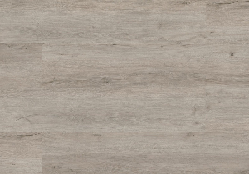 Repac Klick-Vinyl Legend Oak 50-03 MF99936 - eiche Hellgrau | inkl. Trittschalldämmung & weißer Sockelleiste