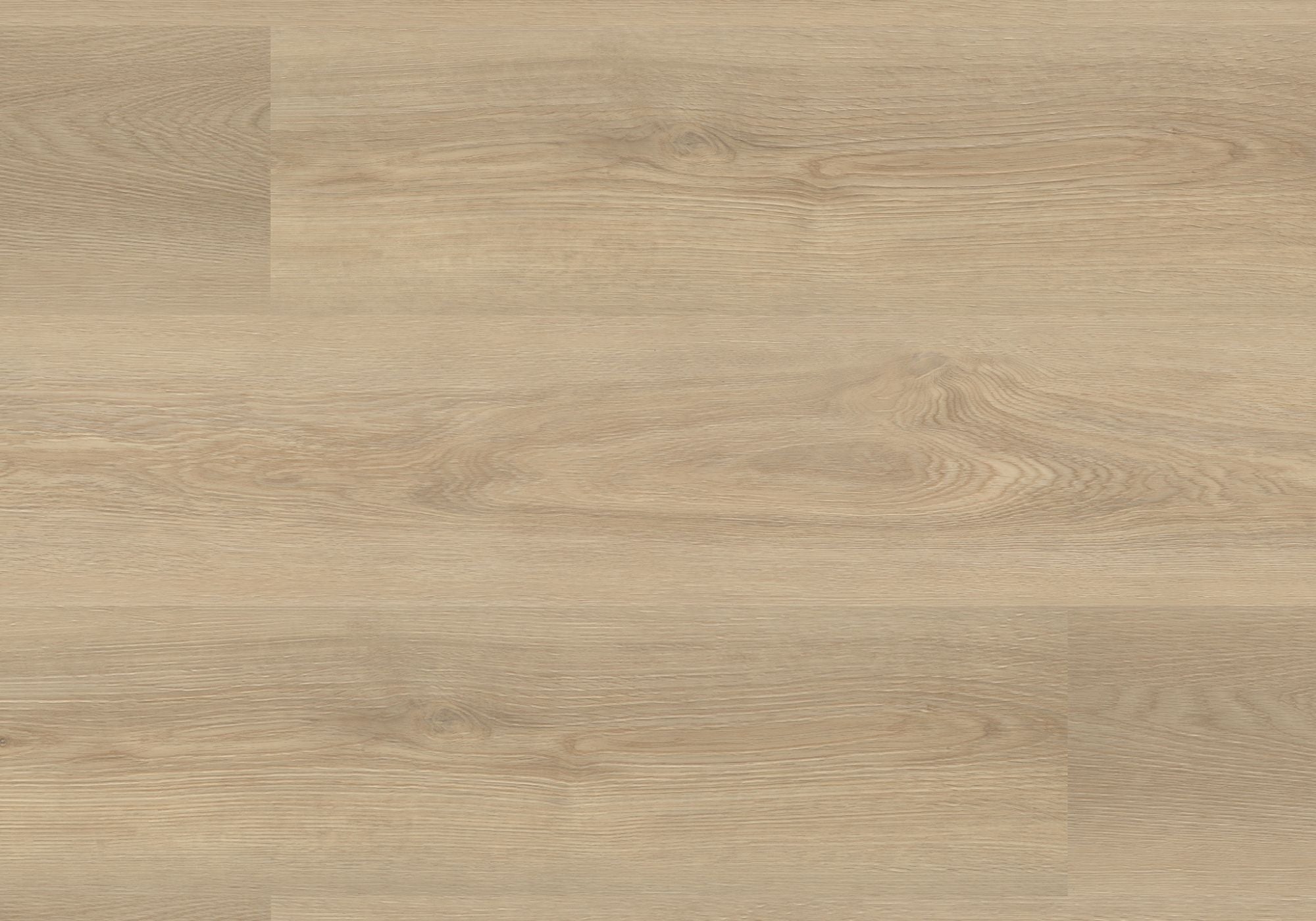 Repac Klick-Vinyl Nature Trend Authentic 65-05 MF99968 - light oak | inkl. Trittschalldämmung & weißer Sockelleiste