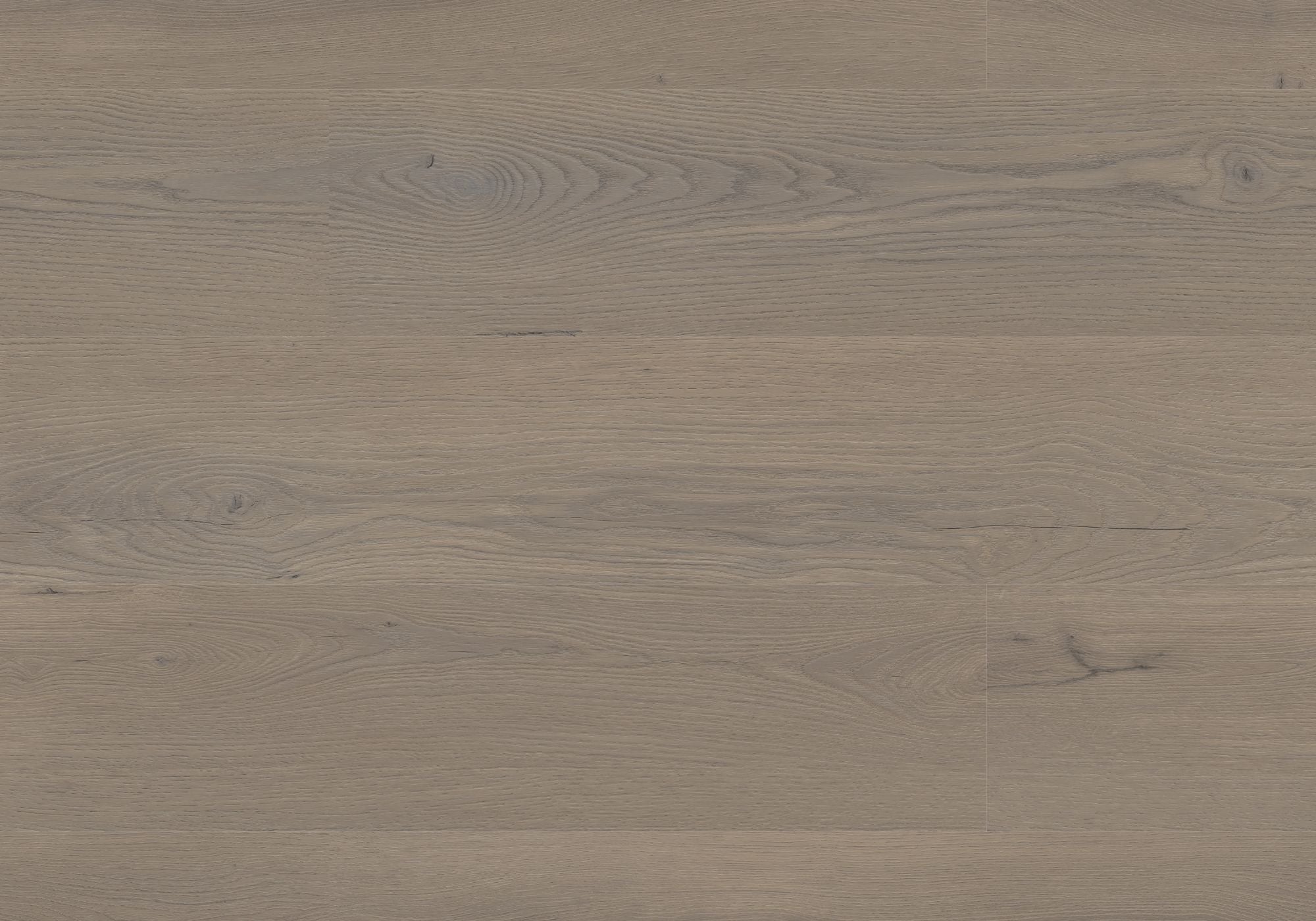 Repac Klick-Vinyl Prime Oak 65-05 MF100013 - pure 3040 | inkl. Trittschalldämmung & weiße Sockelleiste