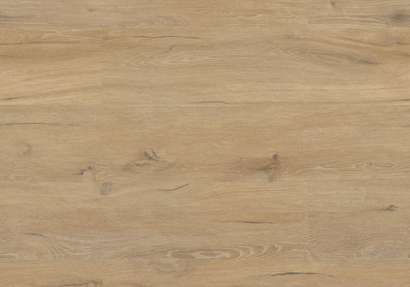 Repac Klick-Vinyl Prime Oak 65-05 MF100016 - rustic 5010 | inkl. Trittschalldämmung & weiße Sockelleiste