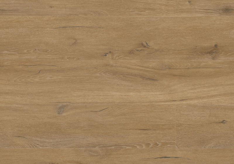 Repac Klick-Vinyl Prime Oak 65-05 MF100018 - rustic 5030 | inkl. Trittschalldämmung & weiße Sockelleiste