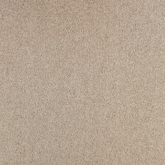 Joka Teppichboden Gloria Arriva 027 Farbe 720 | 400cm Rollenbreite