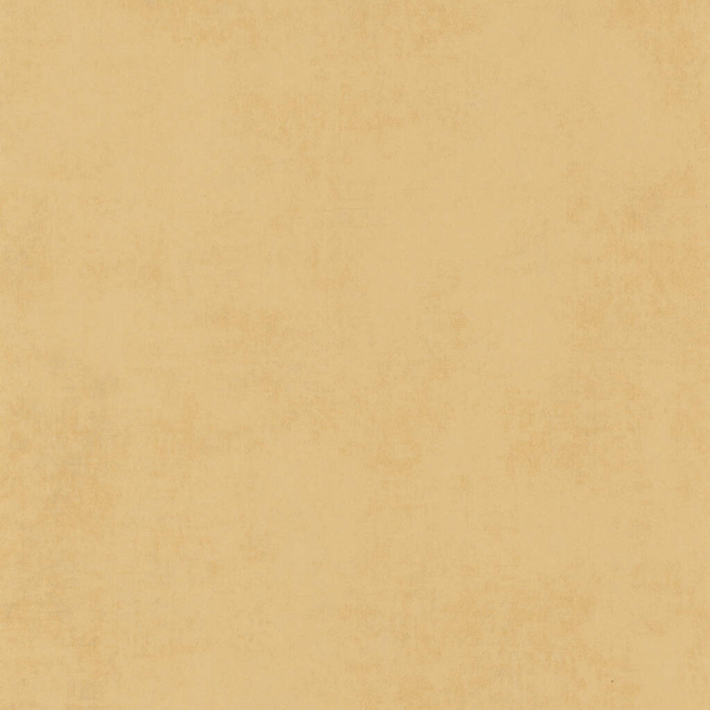 Tapete 20706 Color III 2025 | 10,05 x 0,53 m