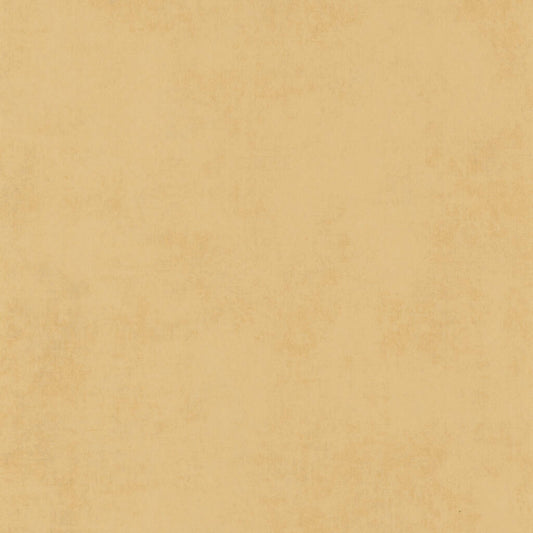 Tapete 20706 Color III 2025 | 10,05 x 0,53 m