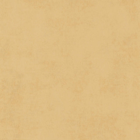 Tapete 20706 Color III 2025 | 10,05 x 0,53 m