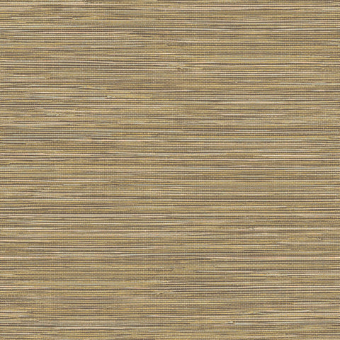 Joka Tapete 20629 Colormix VI 2025 | 10,05 x 0,53 m