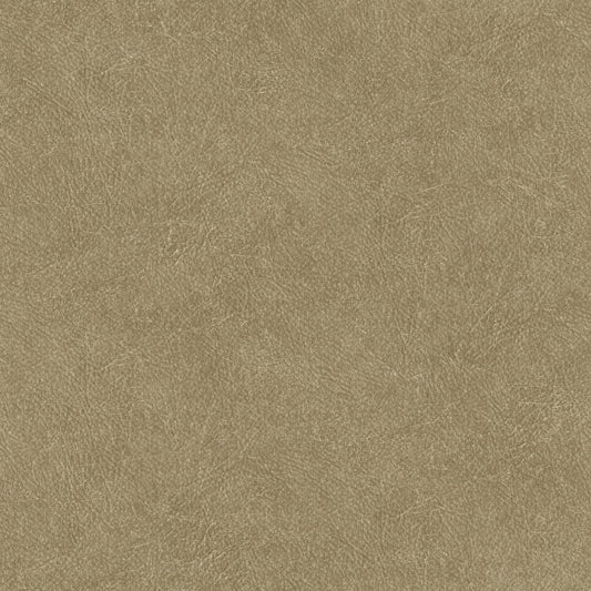 Joka Tapete 20642 Colormix VI 2025 | 10,05 x 0,53 m