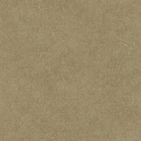 Joka Tapete 20642 Colormix VI 2025 | 10,05 x 0,53 m