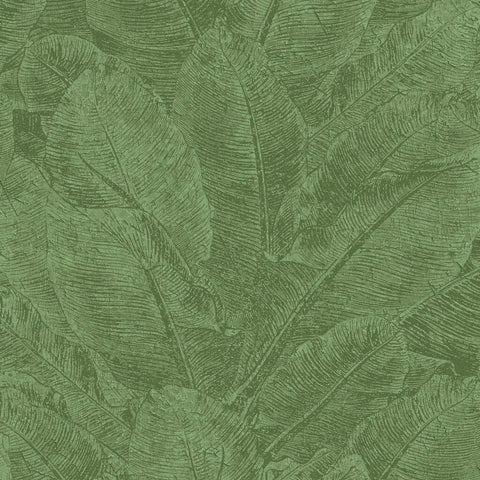 Joka Tapete 22071 Lacantara 2026 | 10,05 x 0,53 m
